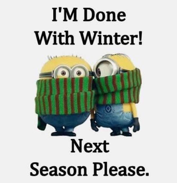 10 Super Funny Winter Minion Quotes - picture 3