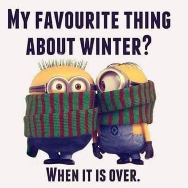10 Super Funny Winter Minion Quotes - picture 4