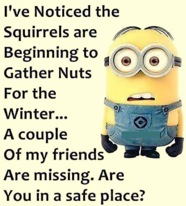 10 Super Funny Winter Minion Quotes - picture 5