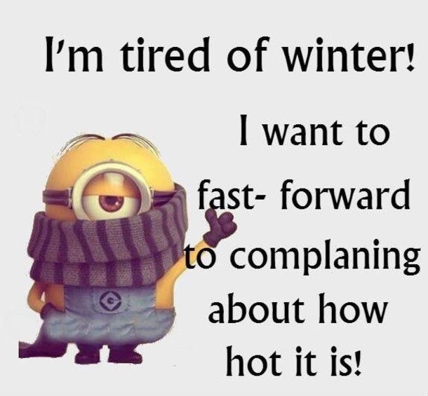 10 Super Funny Winter Minion Quotes - picture 8
