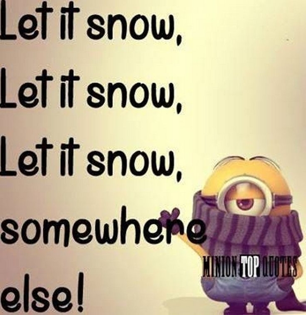 10 Super Funny Winter Minion Quotes - picture 9