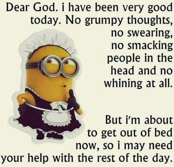 10+ Super Humorous Minion Quotes - picture 10