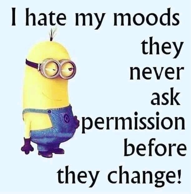 10+ Super Humorous Minion Quotes - picture 11