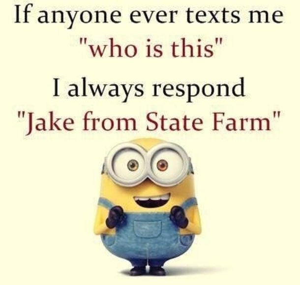 10+ Super Humorous Minion Quotes - picture 2