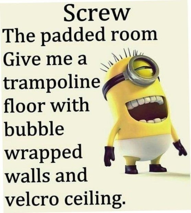 10+ Super Humorous Minion Quotes - picture 4
