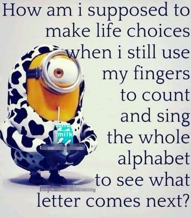 10+ Super Humorous Minion Quotes - picture 5