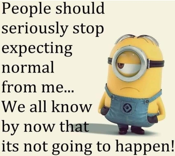 10+ Super Humorous Minion Quotes - picture 7