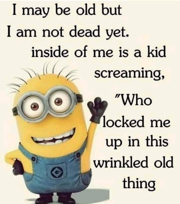 10+ Super Humorous Minion Quotes - picture 8