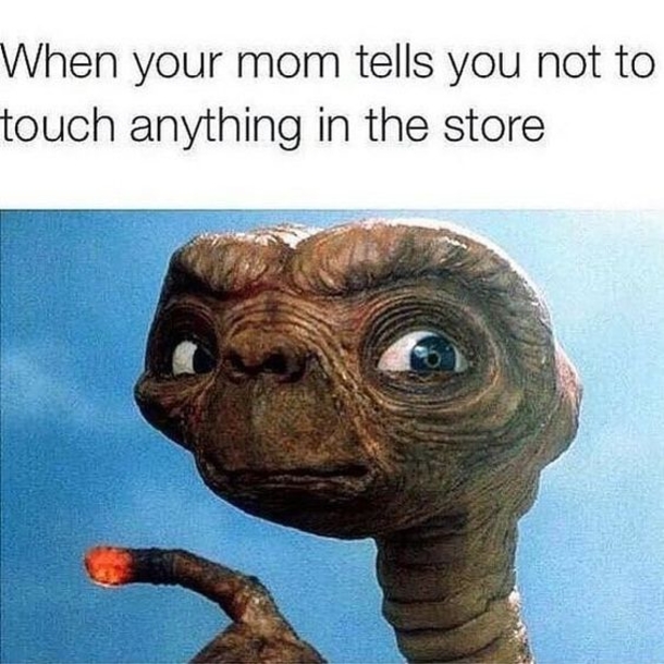 10 Super Relatable Parenting Memes That'll Make You Laugh! - picture 11