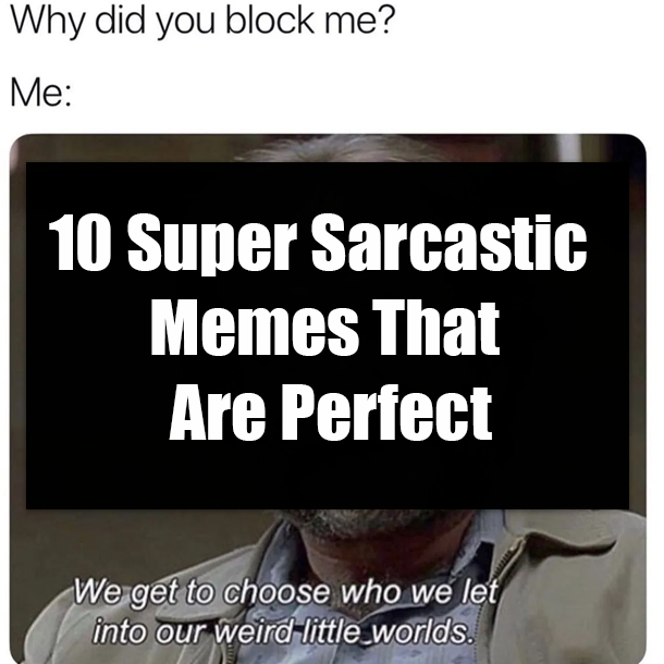 10 Super Sarcastic Memes That Are Perfect