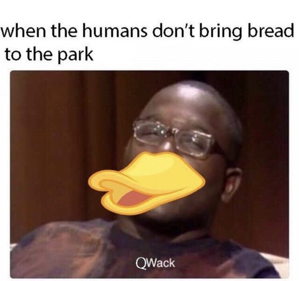 10 Super Sarcastic Memes That Are Perfect - picture 9
