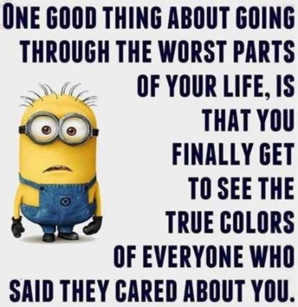 10 Super Silly Minion Quotes & Sayings To Laugh At - picture 7