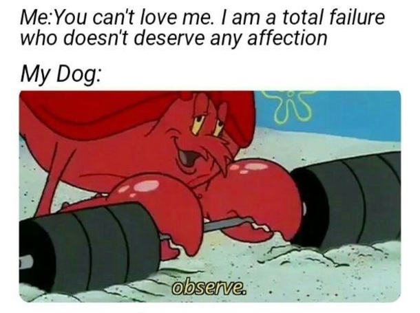 10 Super Sweet Memes For Anyone Sad Or Upset - picture 5