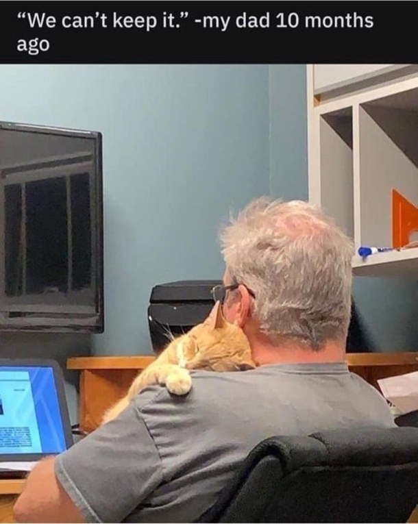 10 Super Sweet Memes For Anyone Sad Or Upset - picture 6