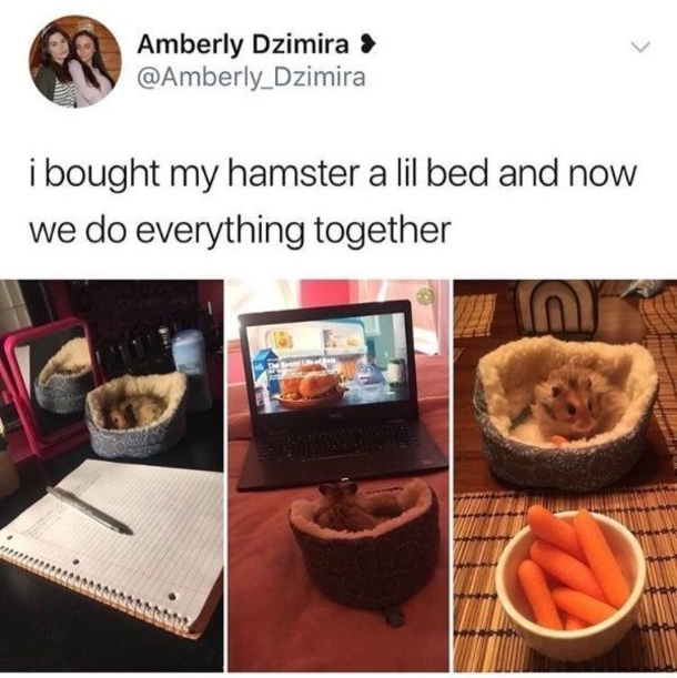 10 Super Sweet Memes For Anyone Sad Or Upset - picture 7