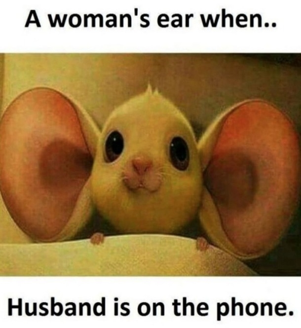 10 Surprisingly Funny Pictures Of The Day - picture 5