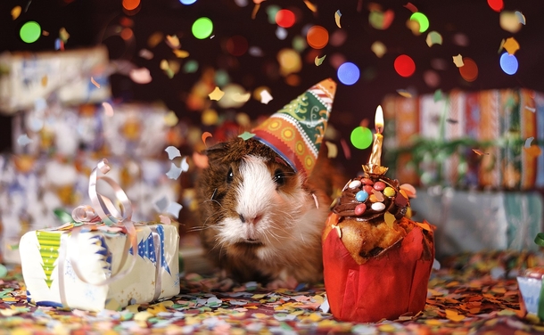 10 Sweet Birthday Photos & Images - picture 4
