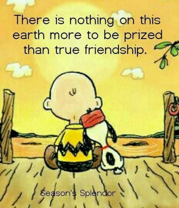 10 Sweet Quotes On Friendship To Share With Someone Special - picture 12