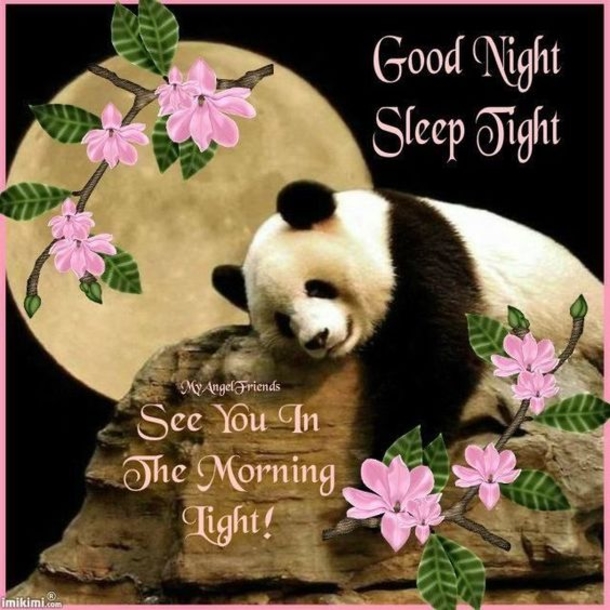 10 Sweet & Cute Good Night Images - picture 10