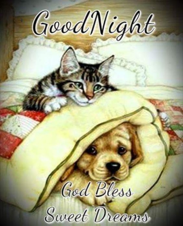 10 Sweet & Cute Good Night Images - picture 3