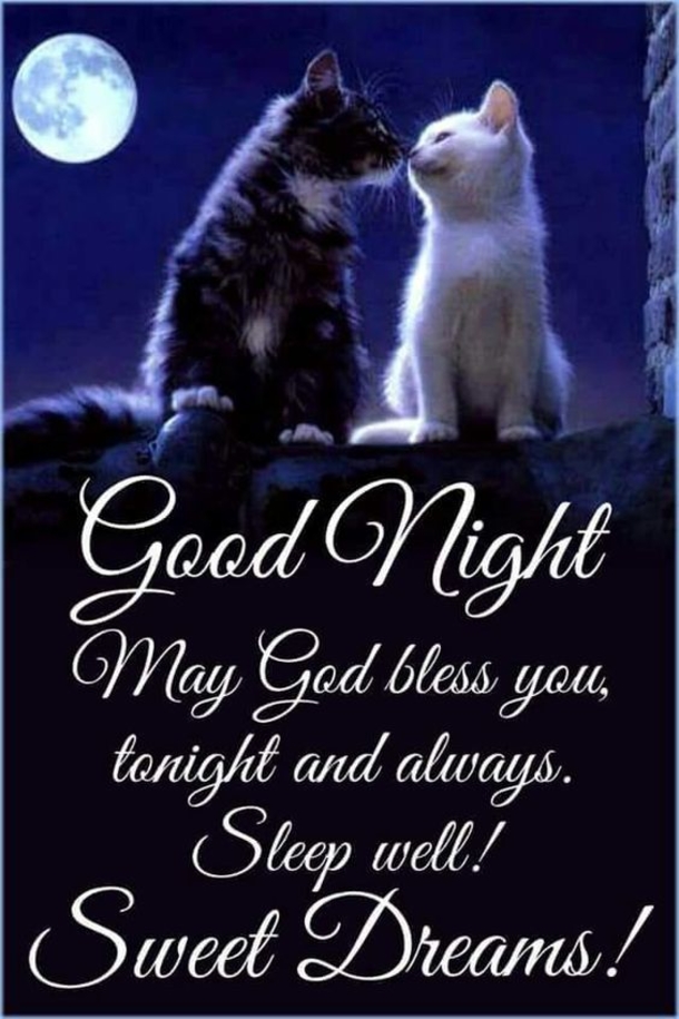10 Sweet & Cute Good Night Images - picture 7