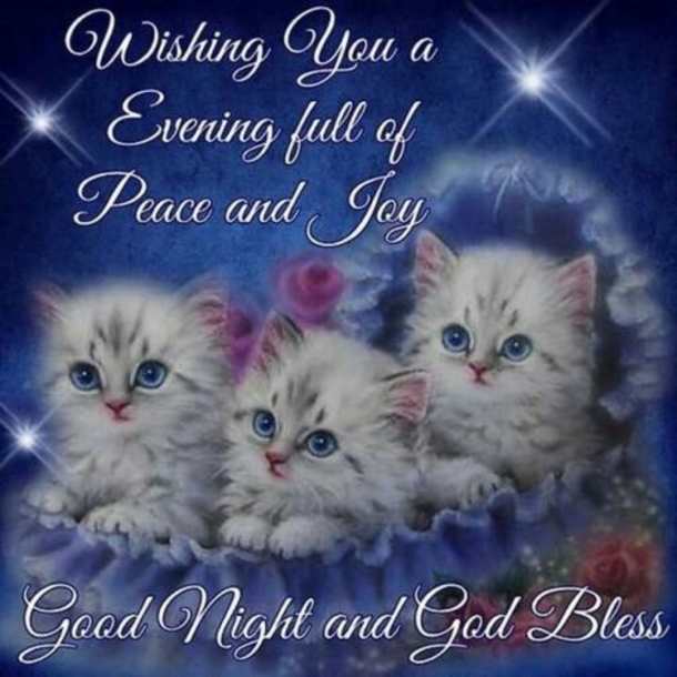 10 Sweet & Lovely Good Evening Quotes - picture 11