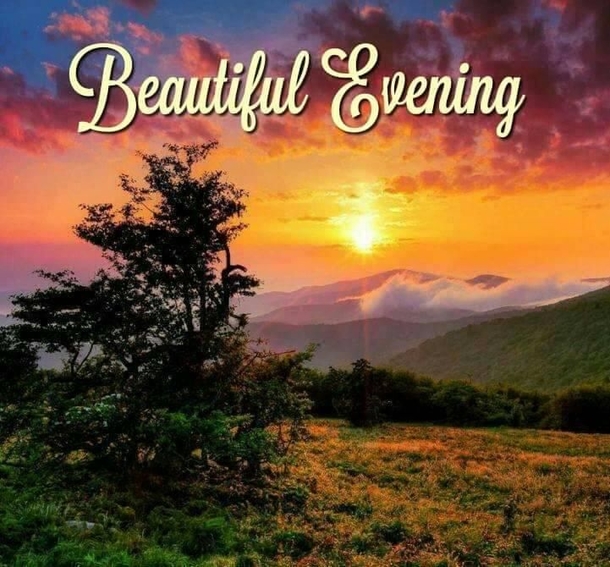 10 Sweet & Lovely Good Evening Quotes - picture 3