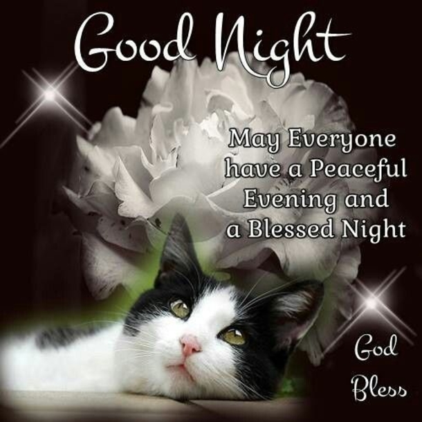 10 Sweet & Lovely Good Evening Quotes - picture 5