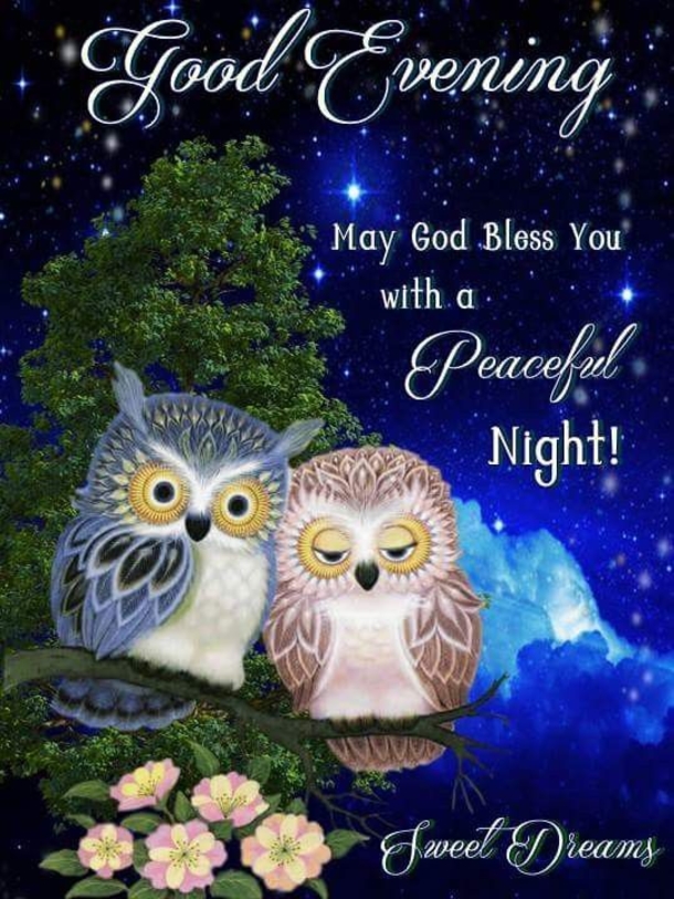 10 Sweet & Lovely Good Evening Quotes - picture 6