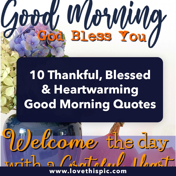 10 Thankful, Blessed & Heartwarming Good Morning Quotes