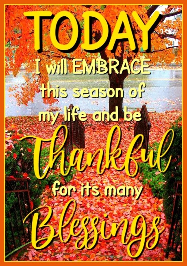 10 Thankful, Blessed & Heartwarming Good Morning Quotes - picture 4