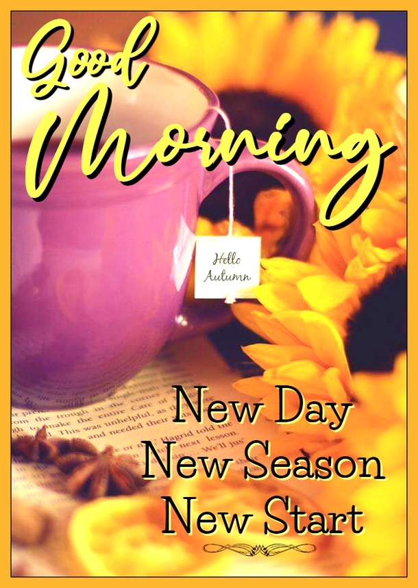 10 Thankful, Blessed & Heartwarming Good Morning Quotes - picture 7