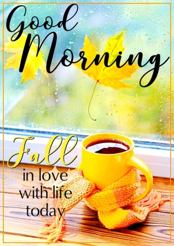 10 Thankful, Blessed & Heartwarming Good Morning Quotes - picture 8