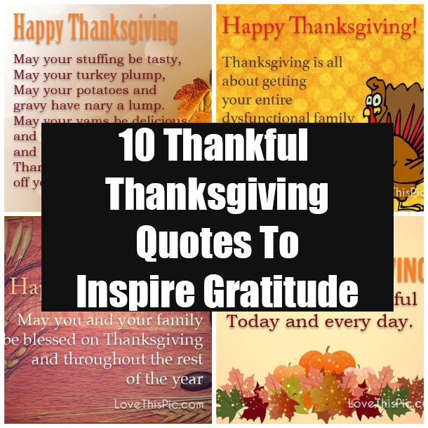 10 Thankful Thanksgiving Quotes To Inspire Gratitude