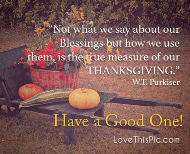 10 Thankful Thanksgiving Quotes To Inspire Gratitude - picture 3