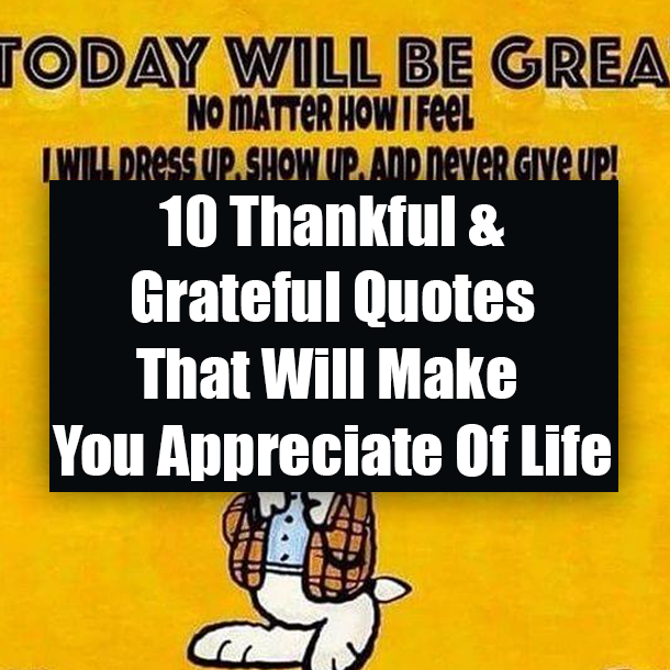 10 Thankful & Grateful Quotes That Will Make You Appreciate Of Life