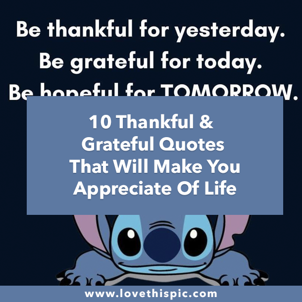 10 Thankful & Grateful Quotes That Will Make You Appreciate Of Life