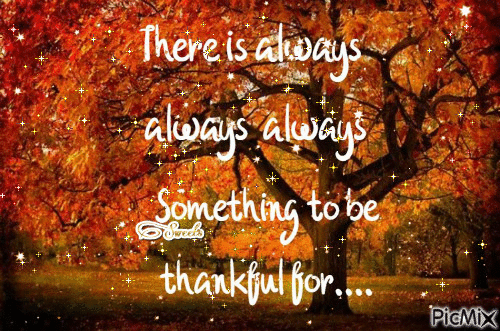 10 Thanksgiving Animated Gifs To Express How Thankful You Are - picture 9