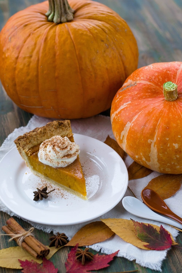 10 Thanksgiving Food Pictures To Get You Excited For Thanksgiving - picture 8
