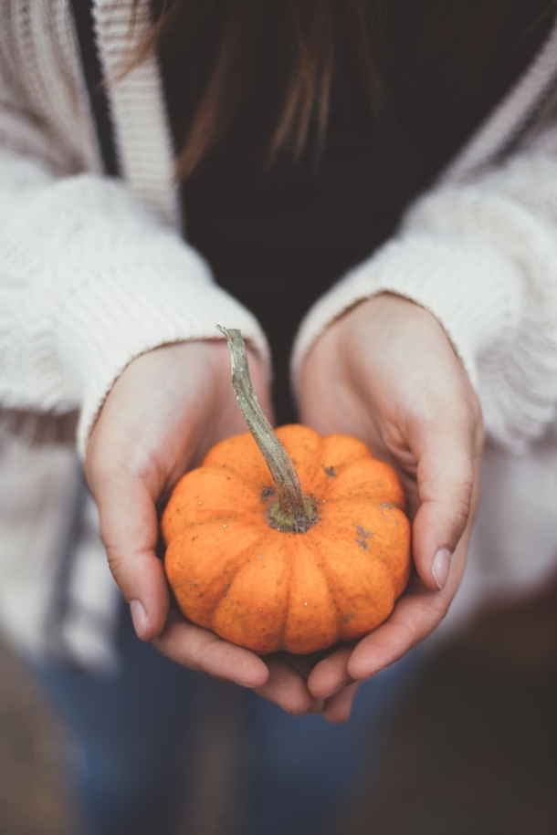 10 Thanksgiving Photography To Make You Thankful - picture 11
