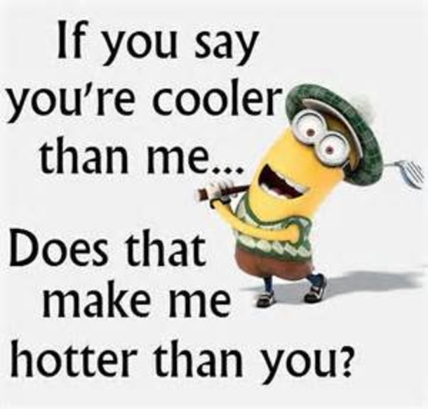 10 Things Minions Say - picture 5
