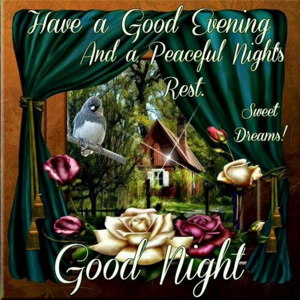 10 Thoughtful Good Evening Quotes - picture 3