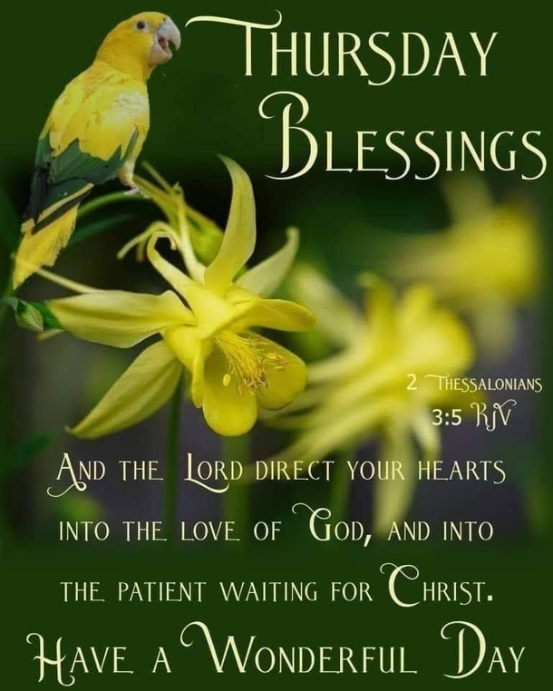 10 Thursday Blessings That Are Touching, Beautiful And Inspiring - picture 5