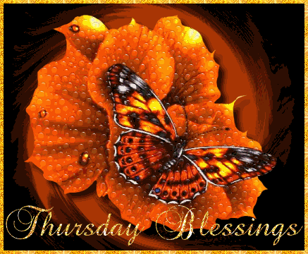 10 Thursday Comments and Quotes - picture 7