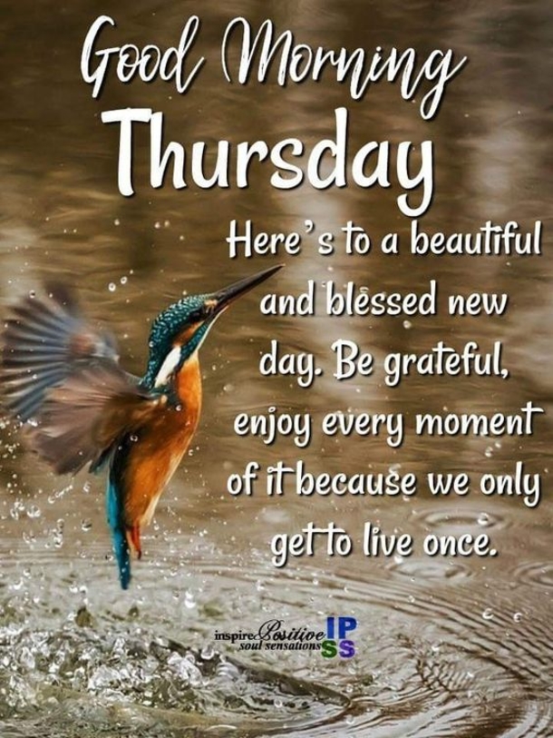 10 Thursday Images, Quotes And Pictures - picture 2