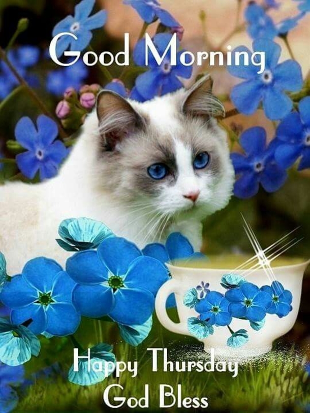 10 Thursday Images, Quotes And Pictures - picture 5