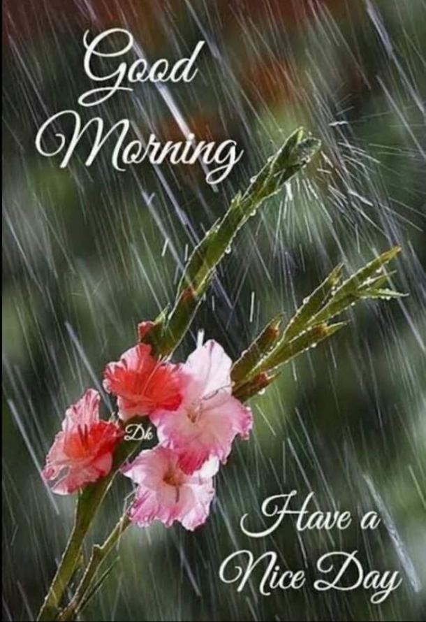 10 Top Beautiful Good Morning Images And Quotes - picture 5