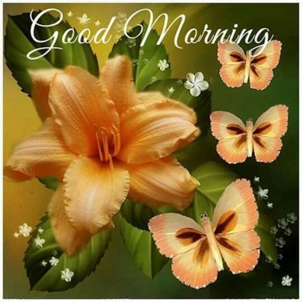 10 Top Beautiful Good Morning Images For A Happy Day - picture 10
