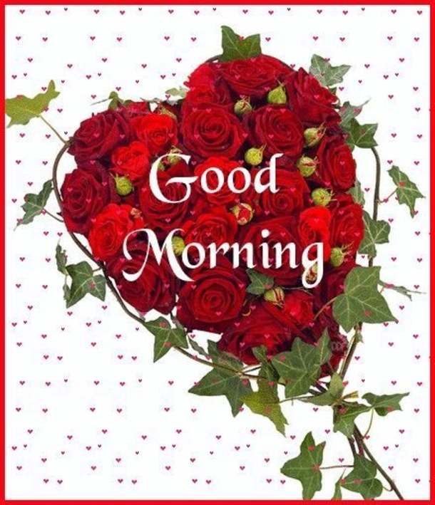 10 Top Beautiful Good Morning Images For A Happy Day - picture 11