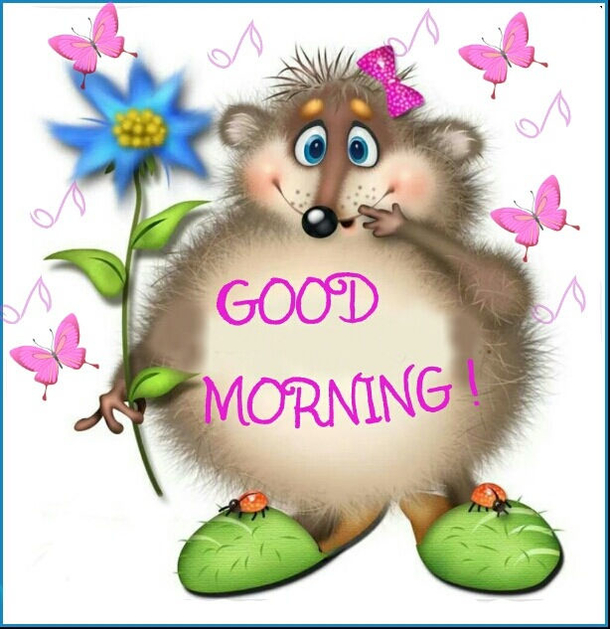 10 Top Beautiful Good Morning Images For A Happy Day - picture 5